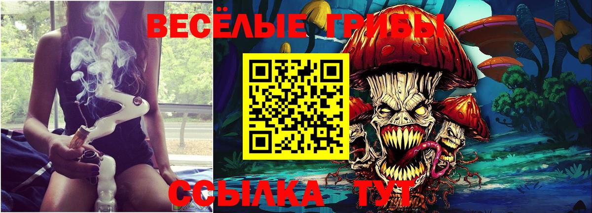 Галлюциногенные грибы Psilocybine cubensis  Псилоцибиновые грибы мицелий  Нижневартовск  Вход с VPN 